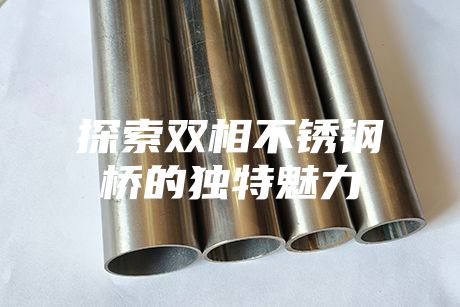 探索双相不锈钢桥的独特魅力